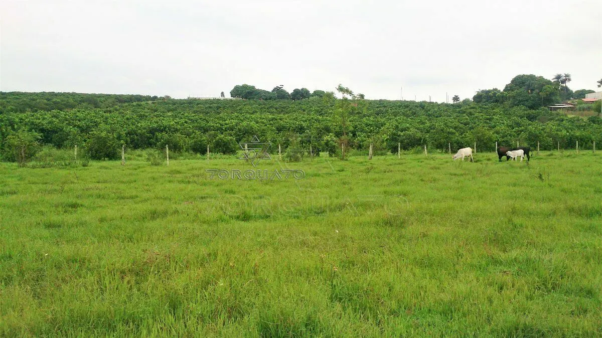 Imagem Seu Sonho Rural em Conchal: Propriedade de 72.600 m² com Infraestrutura Completa!