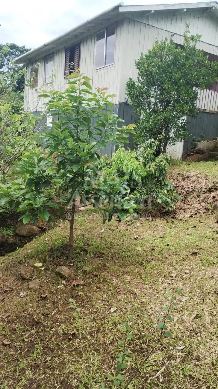 Imagem Chácara para venda em Santo Antônio da Patrulha Roça Grande