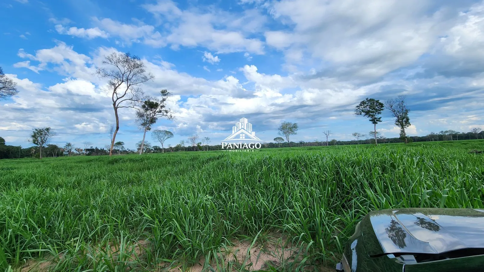 Imagem Fazenda 1550ha