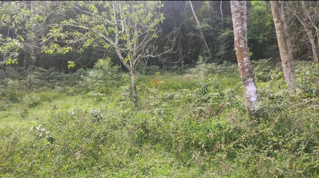 Imagem Terreno para Venda em Teresópolis / RJ no bairro Colônia Alpina