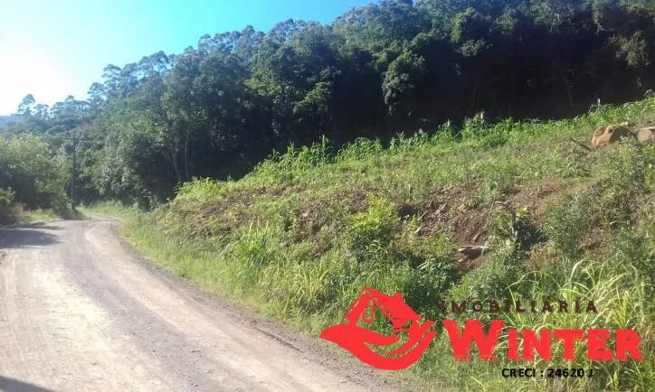 Foto do imóvel Aréa em área rural, Feliz.