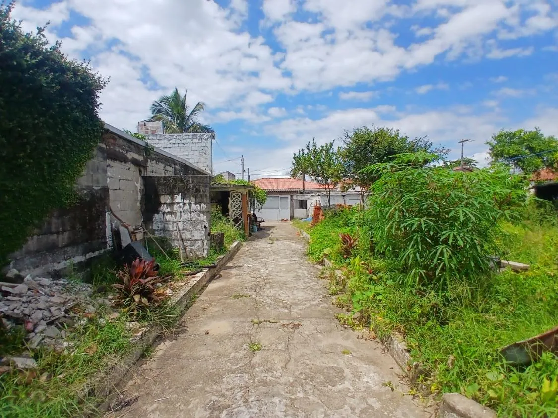Imagem Belo terreno para construir seu sonho
