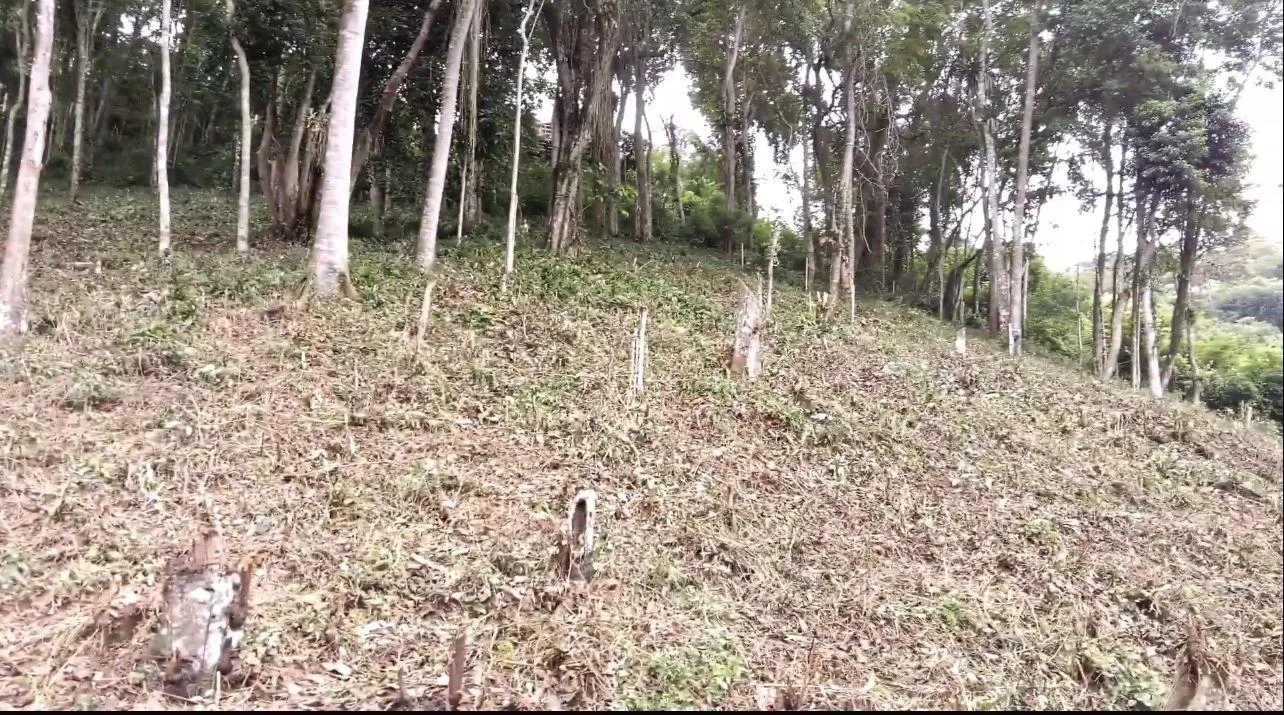 Foto do imóvel Terreno em Condomínio para Venda em Petrópolis / RJ em Rua Benjamim Galloti