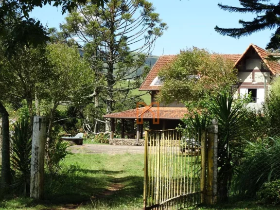 Fazenda com 4 dormitórios à venda de 303 hectares - Zona Rural - Delfim Moreira/MG