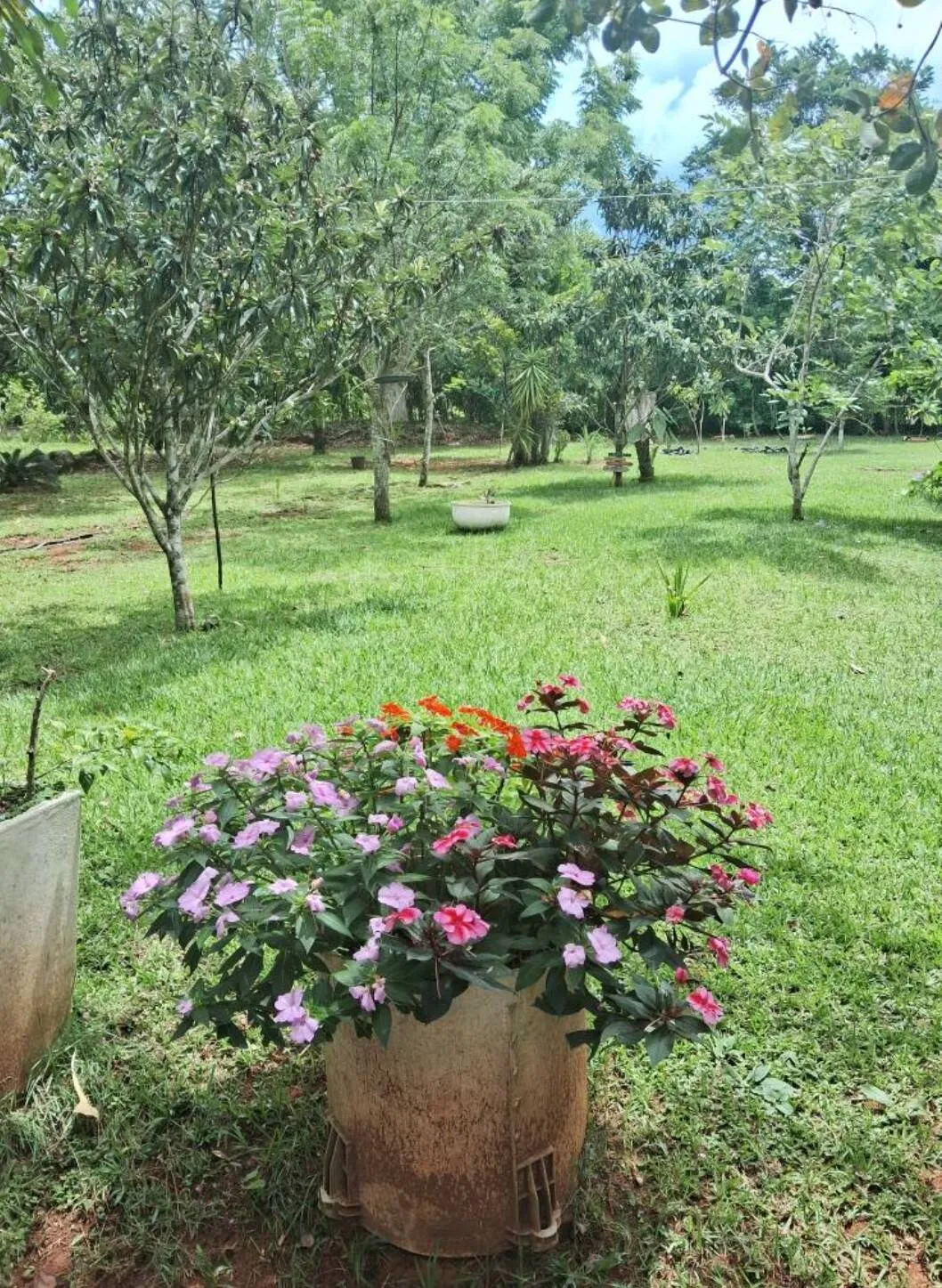 Imagem Casa Chacara em Chapada dos Guimarães