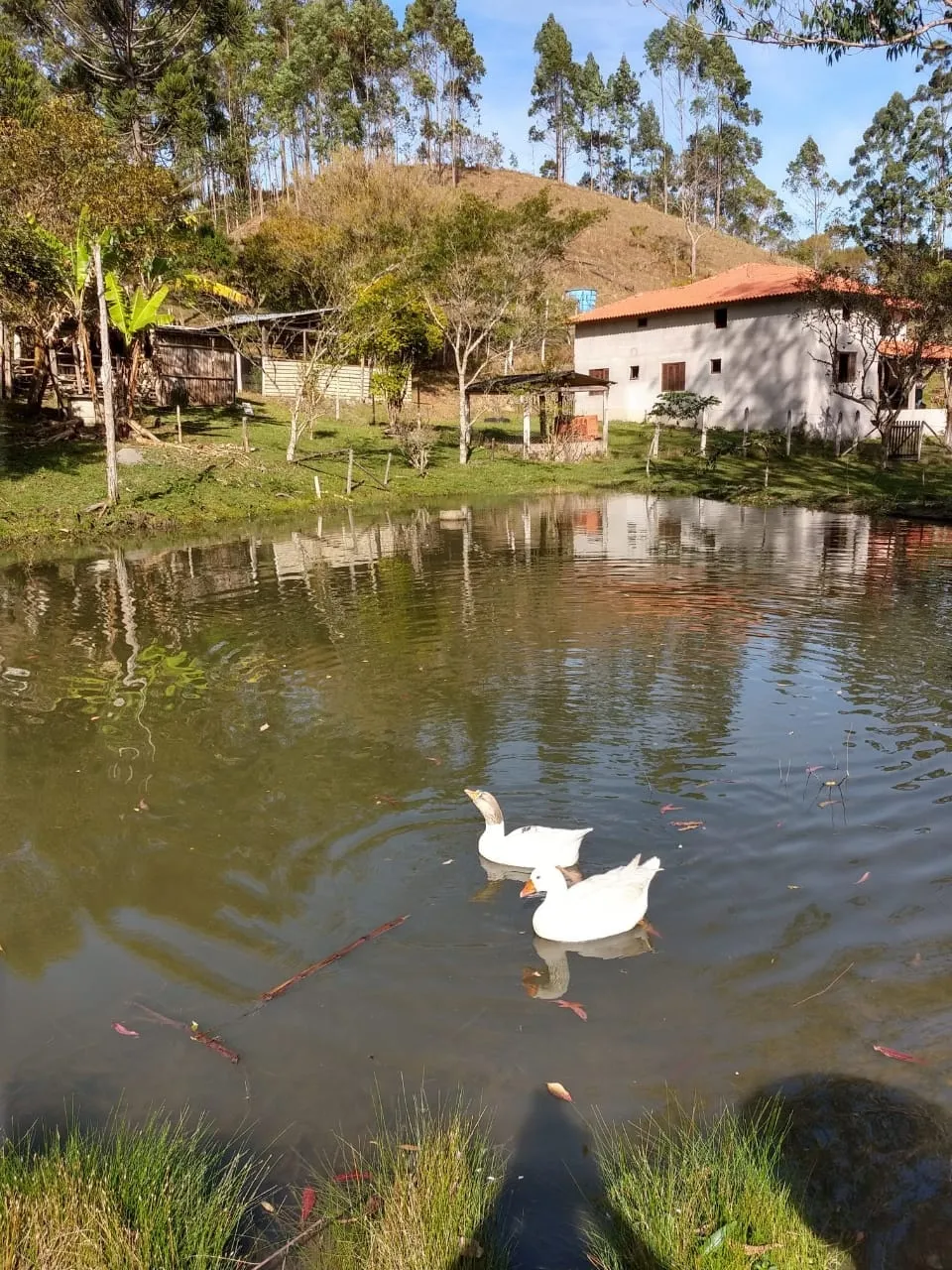 Imagem Chácara à venda 5 Quartos, 1 Suite, 10 Vagas, 24000M², Zona Rural, São Luiz do Paraitinga - SP