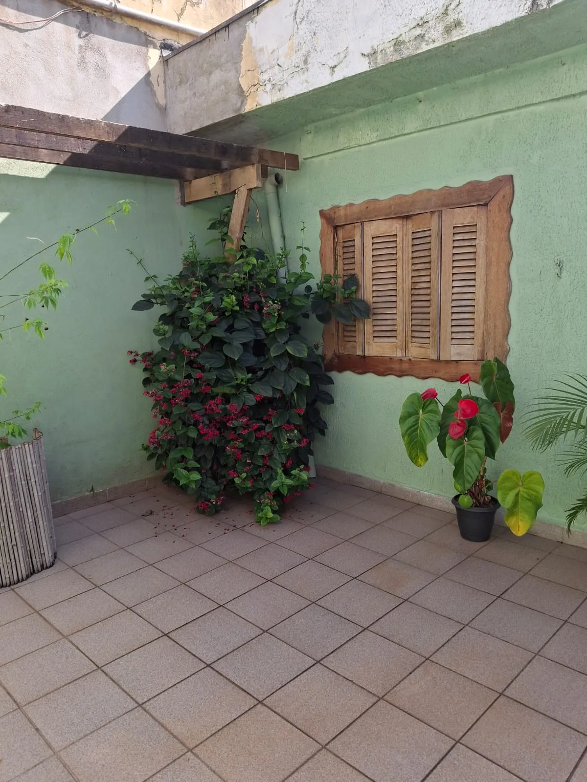 Imagem VENDO LINDA CASA NO BAIRRO JARDIM ERNESTINA!