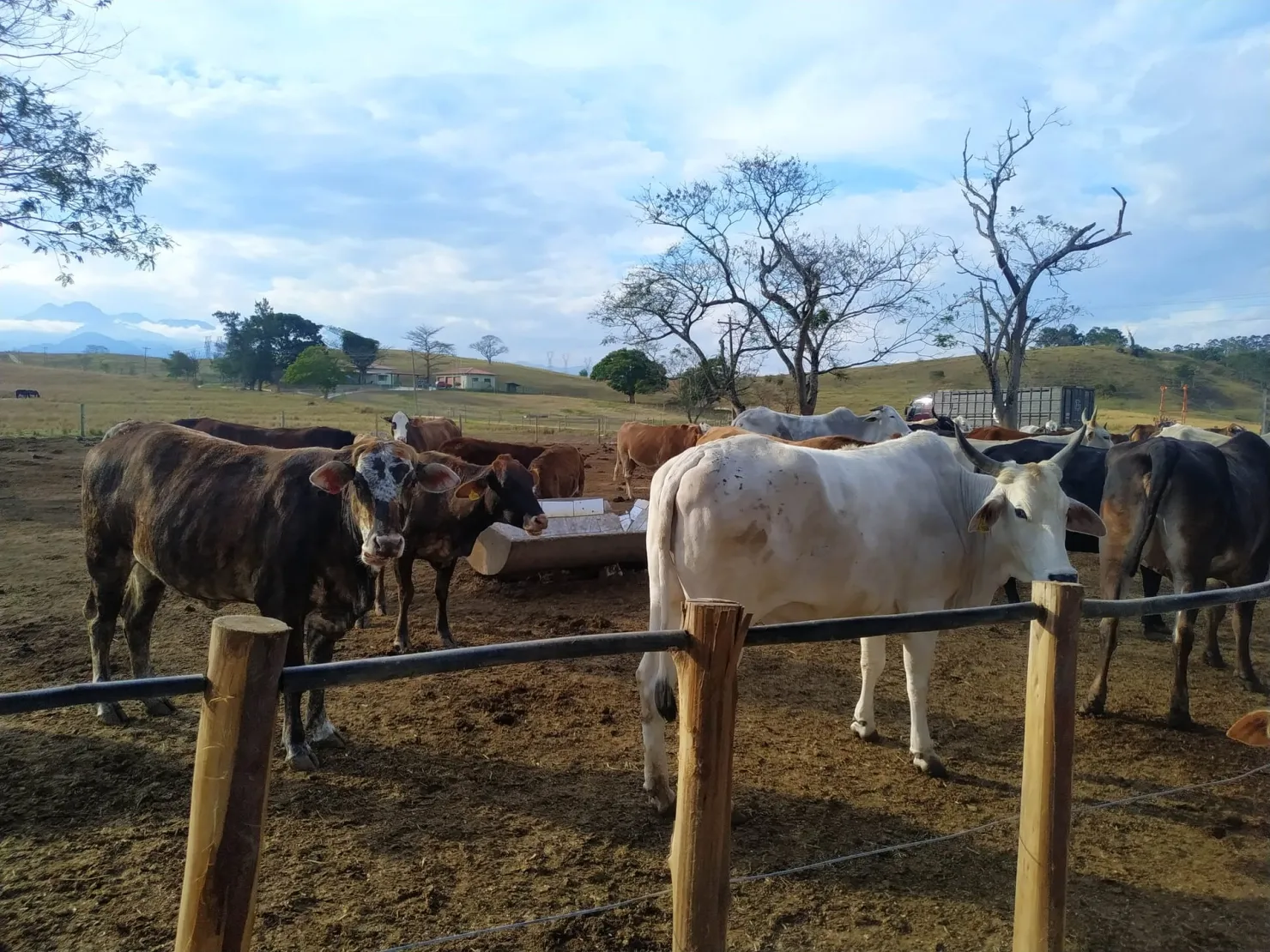 Imagem Chácara à venda 3 Quartos, 1 Suite, 4840000M², Zona Rural, Cachoeira Paulista - SP