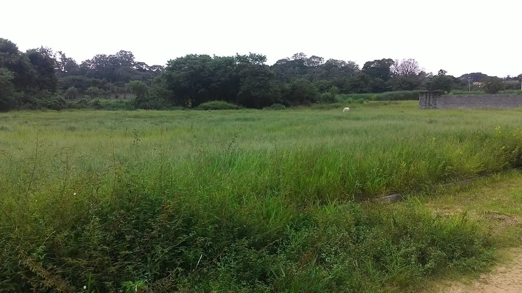 Imagem Terreno à venda 296M², Parque São Domingos, Pindamonhangaba - SP
