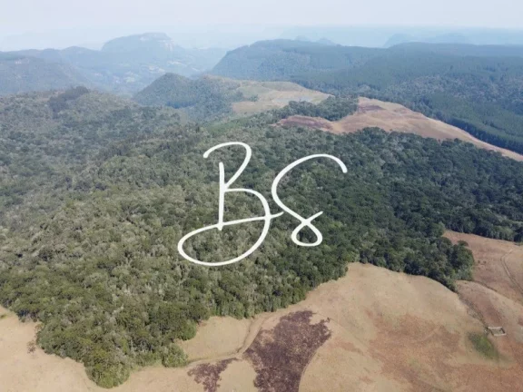 Imagem AREA RURAL em SÃO FRANCISCO DE PAULA - RS, São Francisco de Paula