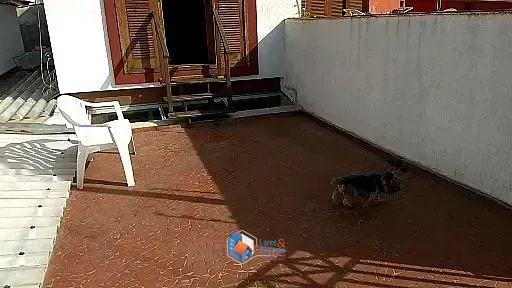Imagem Casa para venda em Parque Jabaquara com 3 quartos, sendo 3 suítes, 185m²