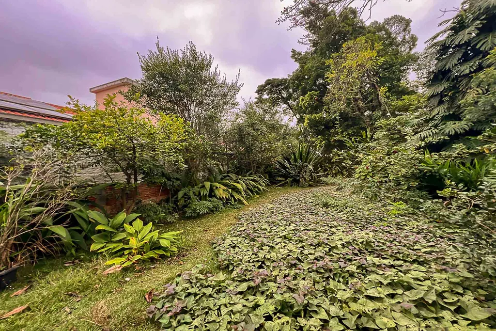 Imagem Terreno à venda em São Paulo, Alto de Pinheiros, 788m2