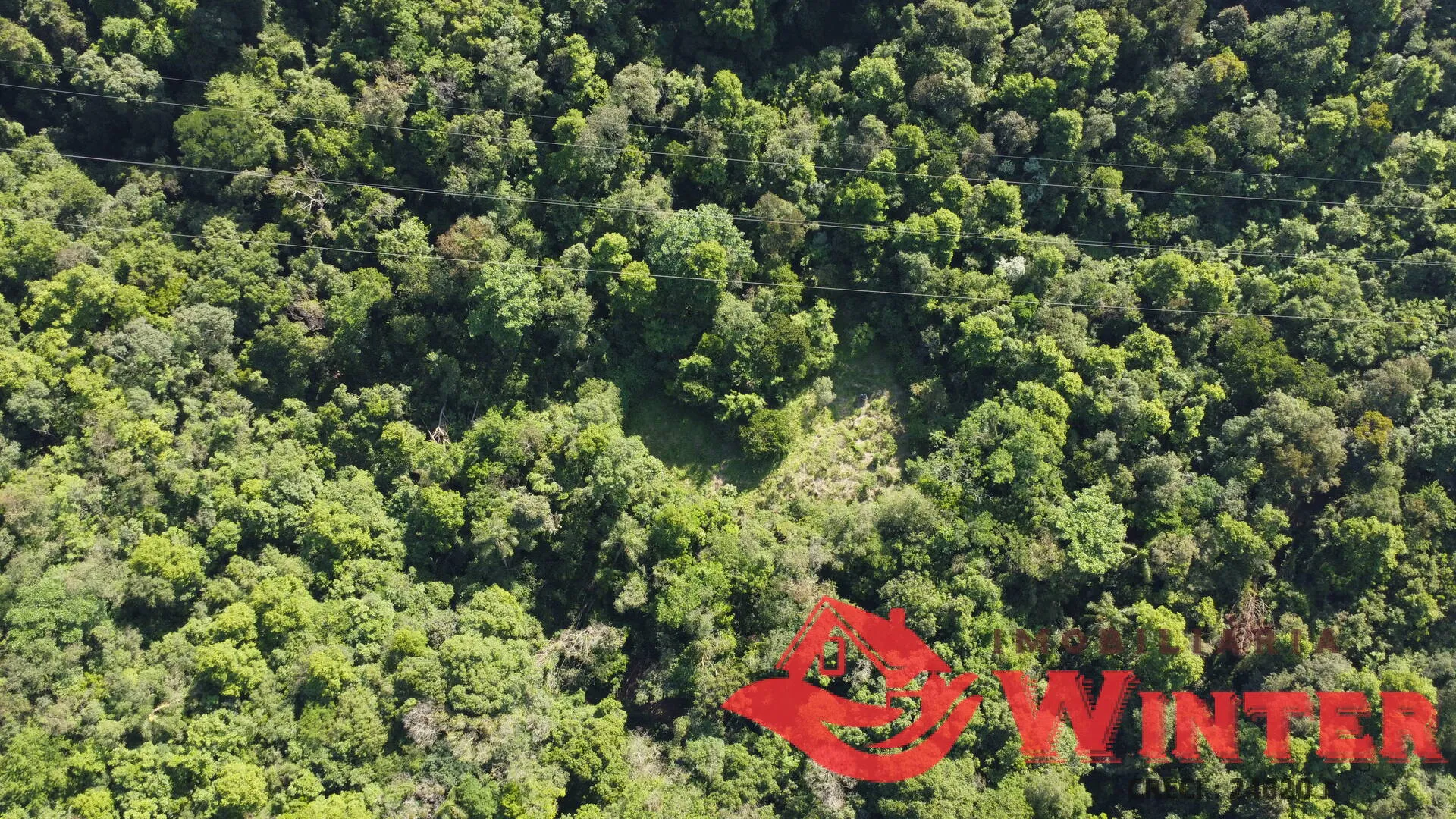 Imagem Área de terras com 10 hectares em Linha Nova