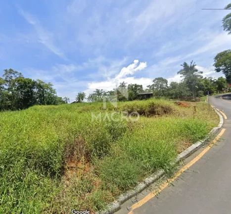 Imagem Terrenos | Rio da Luz | 445 e 488m²