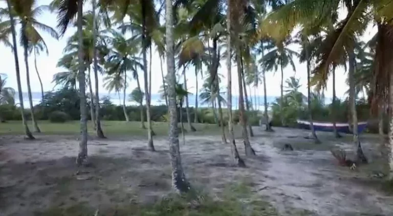 Imagem ÁREA FRENTE MAR - BOMBAÇA