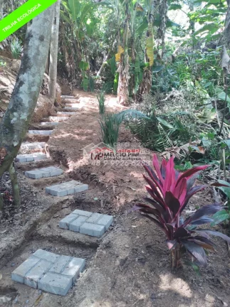 Imagem SÍTIO a VENDA, com 4.000m², com ESCRITURA, no bairro S. Valentim em Nova Trento. Com beira uma rio, de Nova Trento, podendo fazer trilha ecológica