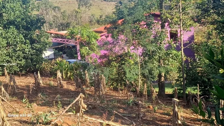 Imagem Chácara para Venda em Concórdia, Área Rural de Concórdia, 4 dormitórios, 1 suíte, 4 banheiros, 2 vagas