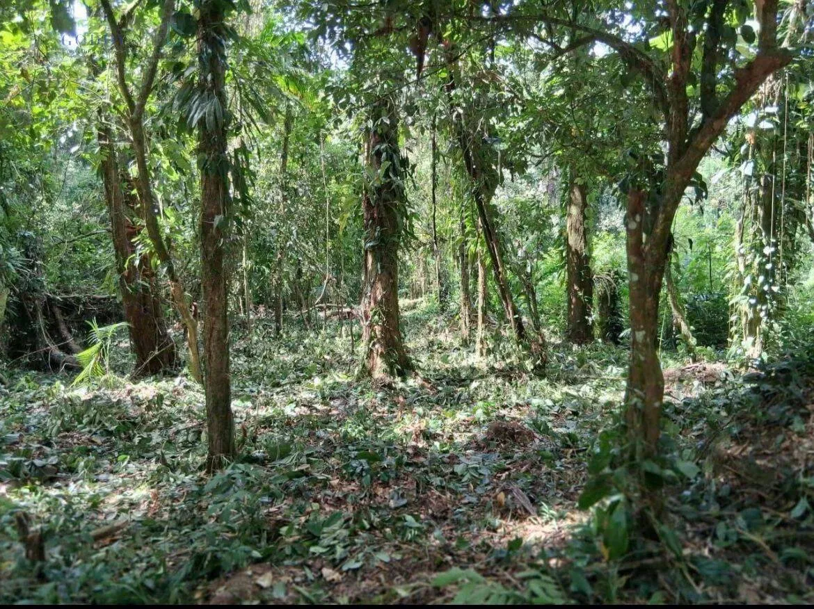 Imagem Excelente oportunidade em Ubatuba - Bairro da Figueira!