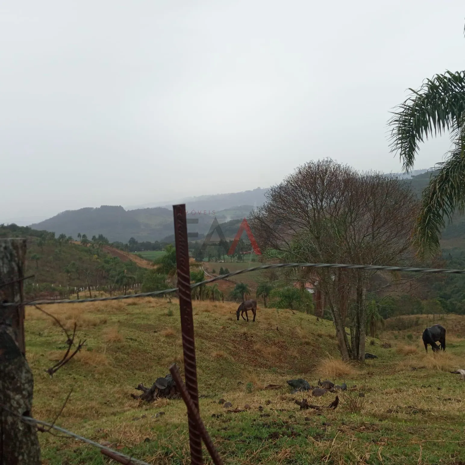 Imagem Chácara, JORDÃO, GUARAPUAVA - PR