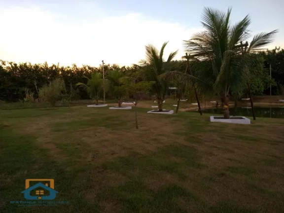 Imagem Chácara de 5.000m² em Bom Jesus do Galho