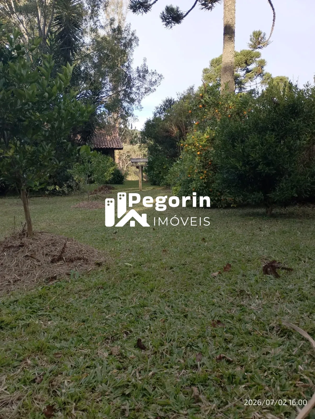 Imagem CHACARA 2.000M² PIRAQUARA PROXIMO A BR 277