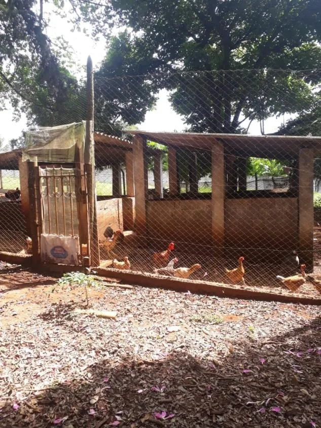Imagem Venda de Sítio em Igarapé/MG / com 8.000 m²