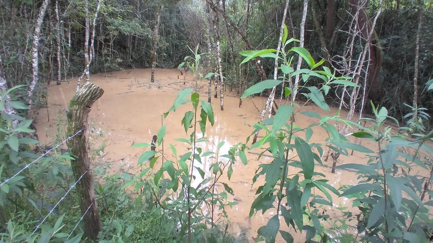 Imagem Vendo um ótimo sítio em Itaguara/Mg com 78.000 m² de terra,