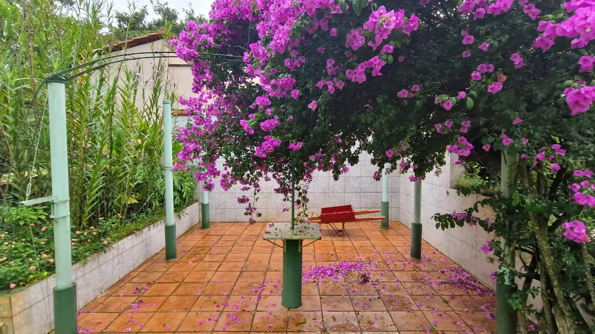 Imagem Casa no condomínio Balneário Palmyra para venda com 3 quartos, sendo 1 suíte, 300m2