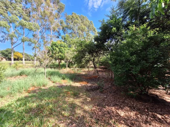 Imagem Horzem Imóveis vende sítio com 10.500m² em Boa Vista – Viamão/RS