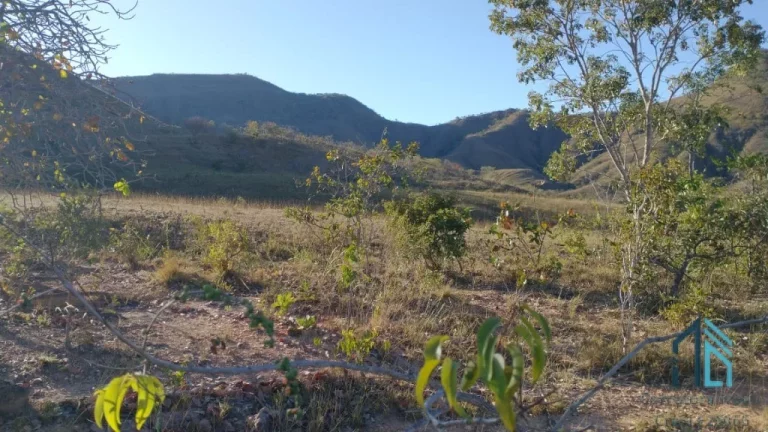 Imagem Fazenda a venda Oportunidade Única em Niquelândia Goiás- GO