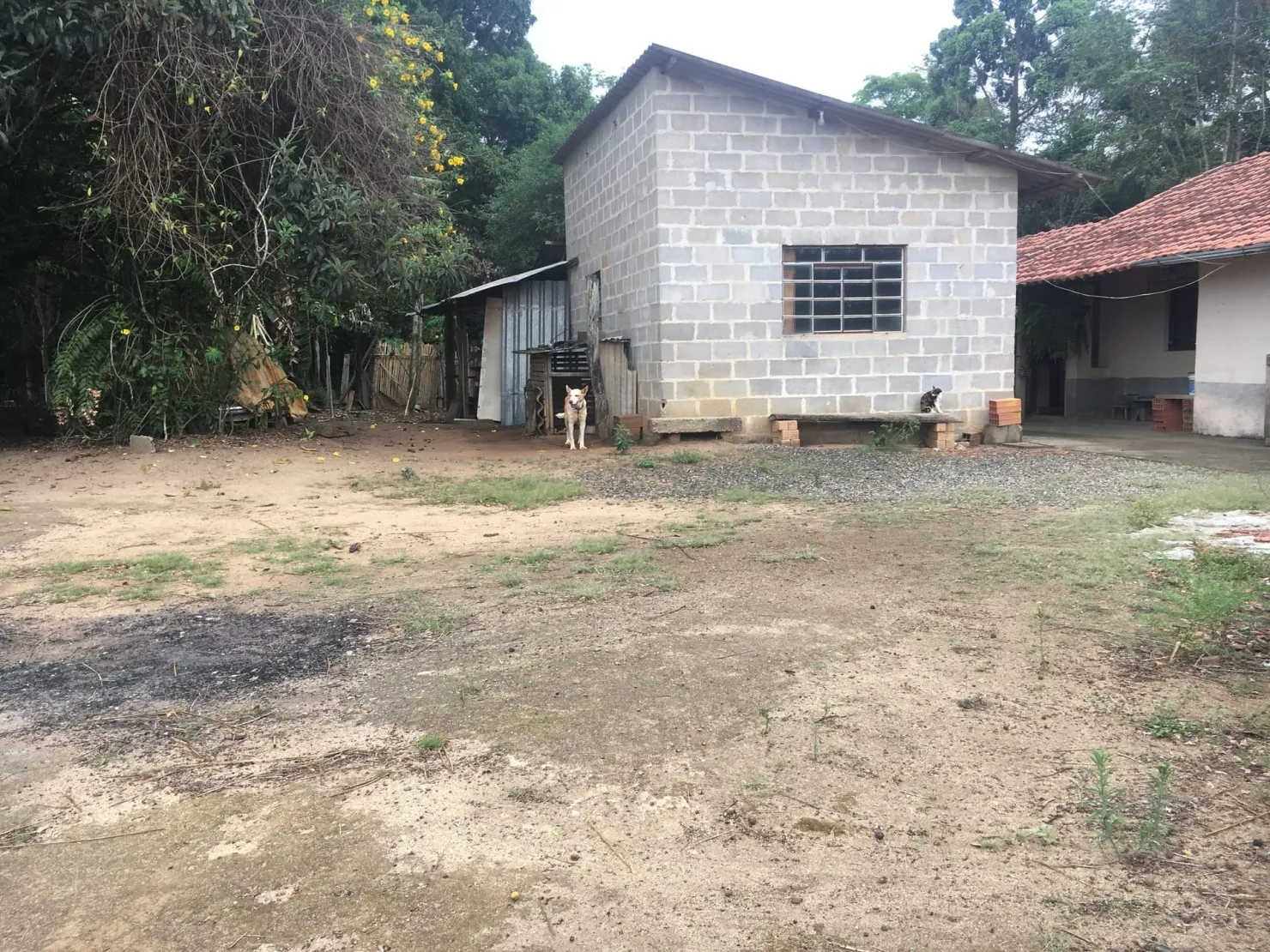 Imagem Terreno à venda 9 Quartos, 29773.51M², Bela Vista, Pindamonhangaba - SP