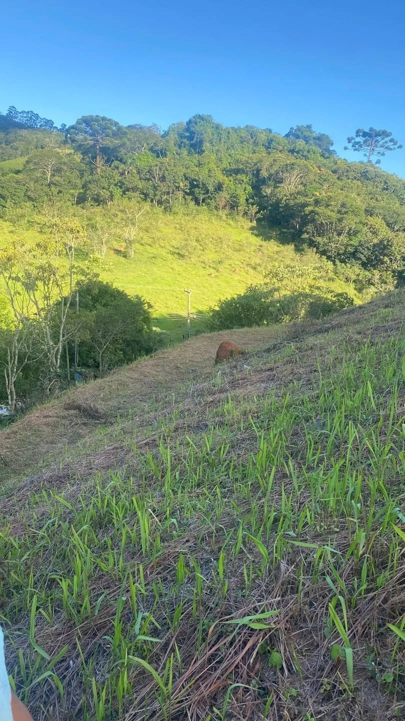 Imagem Chácara à venda 1002M², Bairro do Rio Preto, Santo Antônio do Pinhal - SP