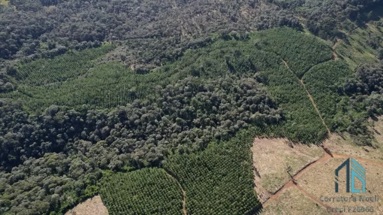 Imagem Terreno localização privilegiada, próxima à cidade e com potencial General Carneiro PR
