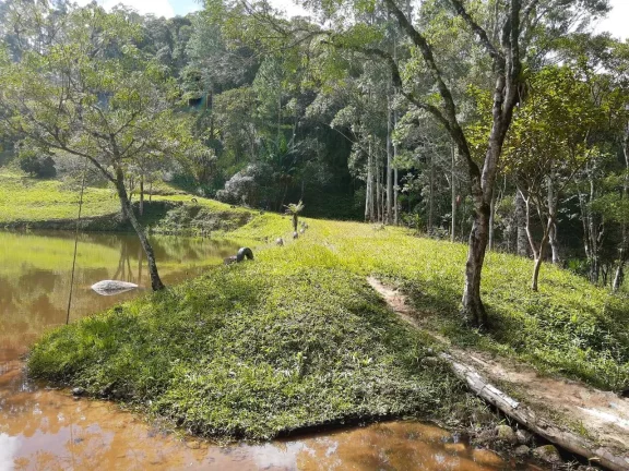 Imagem Sitio com 6 alqueires Tapiraí