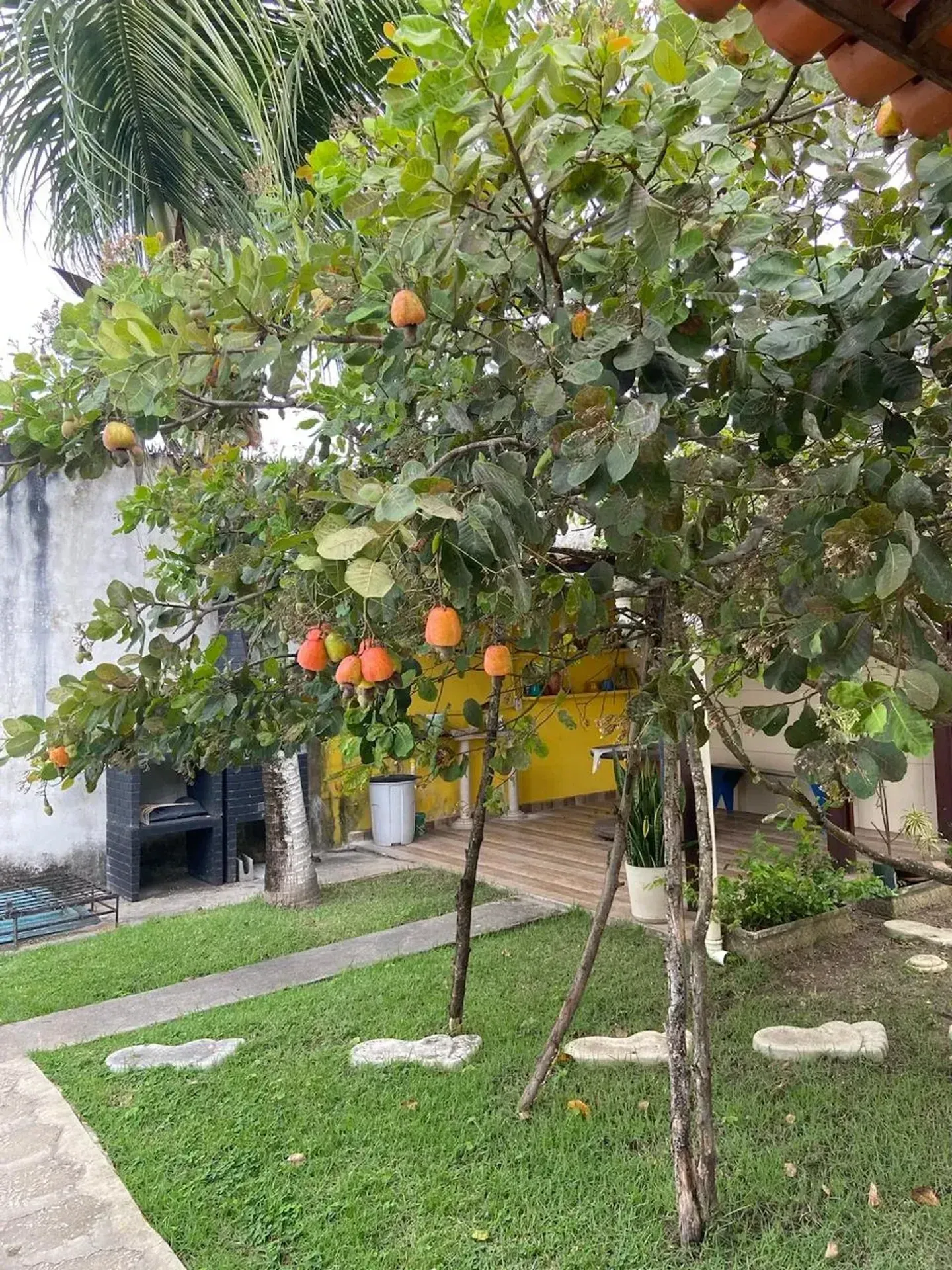 Imagem Casa com 4 Quartos à Venda ou Locação, 200 m² em Marechal Deodoro - Marechal Deodoro