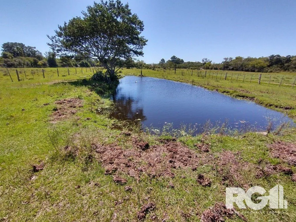 Imagem Excelente Sítio na Capital de 6.737,57 m2, Bairro Lami, Porto Alegre RS