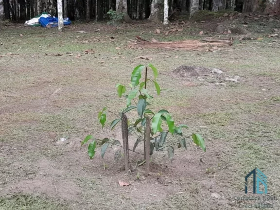 Imagem Chácara contendo tanque de peixes, 02 casas, internet, em condomínio - Morretes PR