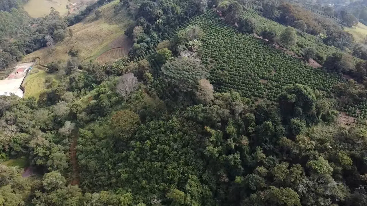 Imagem Sítio 3,63 ha à venda em Primos, Campestre