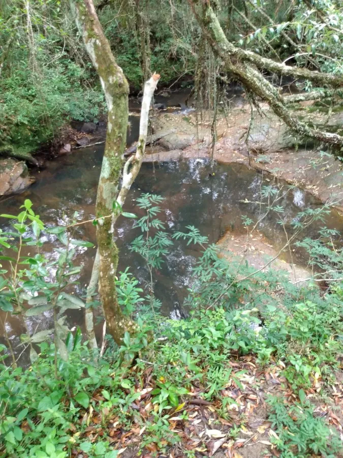 Imagem Sítio para Venda em Piratini, zona rural, 1 dormitório, 1 banheiro