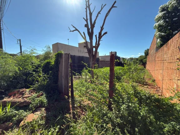 Imagem SUPER OPORTUNIDADE – Terreno em Região de Forte Expansão