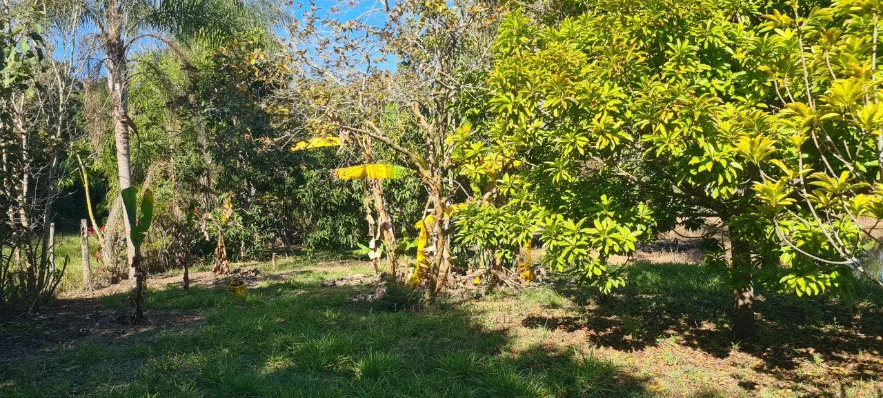 Imagem Chácara à venda em Quadra-SP, bairro Aleluia: 3 quartos, 1 sala, 2 banheiro, 120,00m² de área. Imperdível!