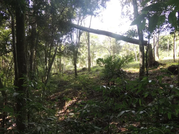 Imagem Terreno Espaçoso em Macacu, Garopaba-SC: 20 mil m², Vista para Lagoa e Mar
