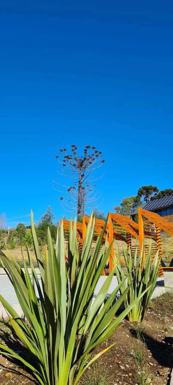 Imagem Lote à venda em Gramado, Portico, 652.39m2