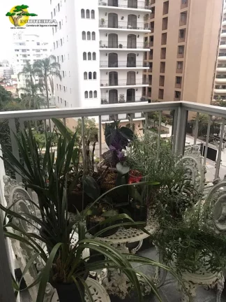 Imagem APARTAMENTO PARA VENDA EM SANTANA/SP