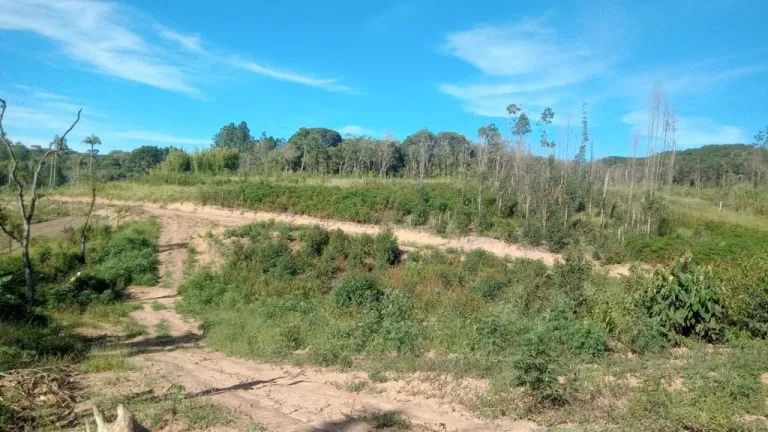 Imagem Terreno à Venda, 500 m² em verava - Ibiúna