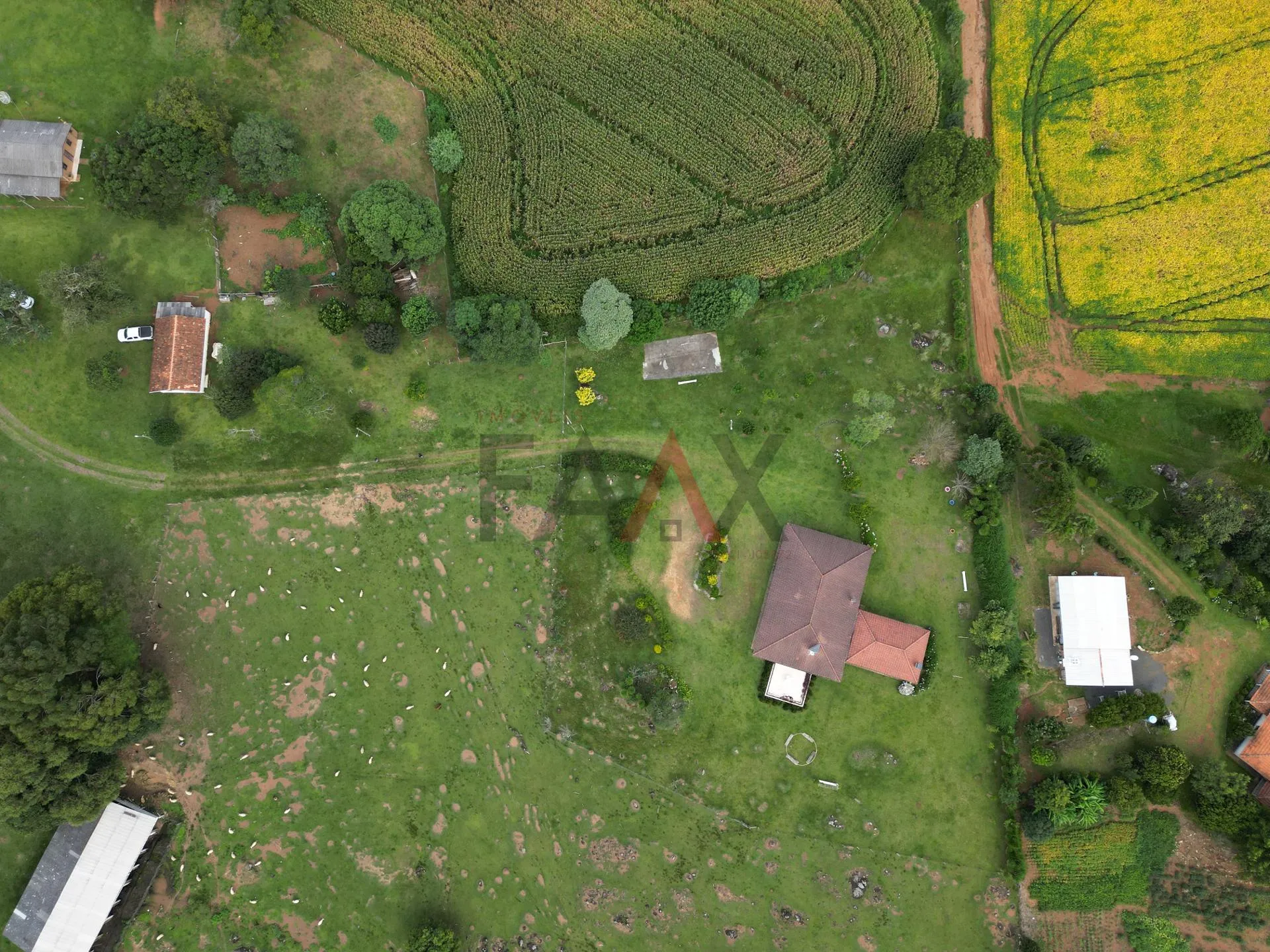 Imagem Chácara com 1.210.000,00m as margens da BR-277 em GUARAPUAVA - PR