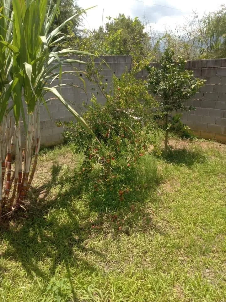 Imagem Chácara à venda 2 Quartos, 2 Vagas, 630M², Mandú, Pindamonhangaba - SP