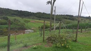 Imagem Terreno à Venda em Piedade dos Gerais / MG 15 hectares de área total