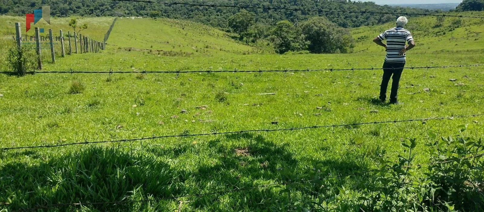 Imagem Sítio à venda no bairro Centro - Guareí/SP