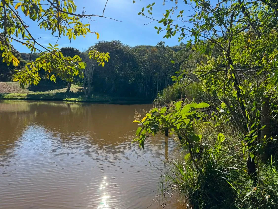 Imagem EXCLUSIVIDADE | FAZENDA a venda - CLÁUDIO/MG -90 hectares de área total